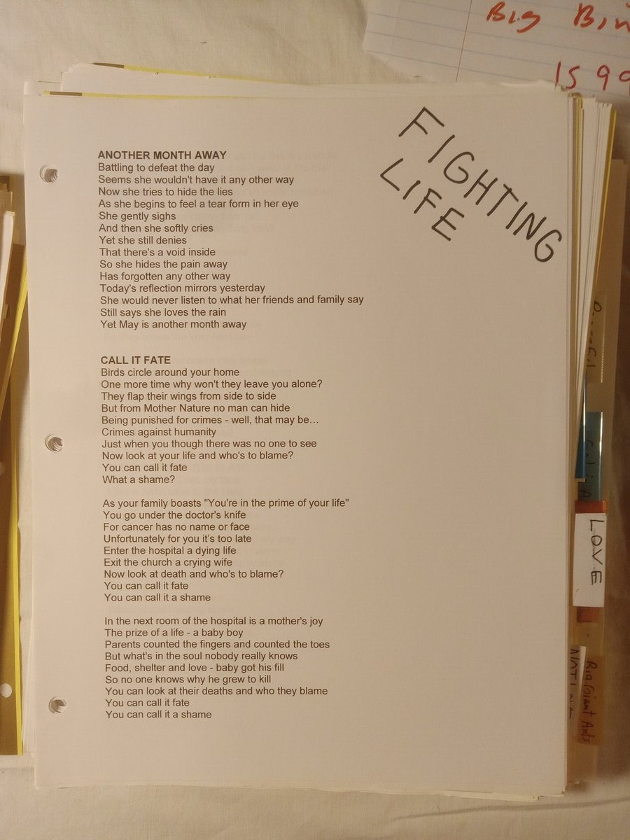 Item 1599 — Poems By Subject Big Binder With Quotes, Scary Truths Book (Brian Rainstorm), picture 5 of 21