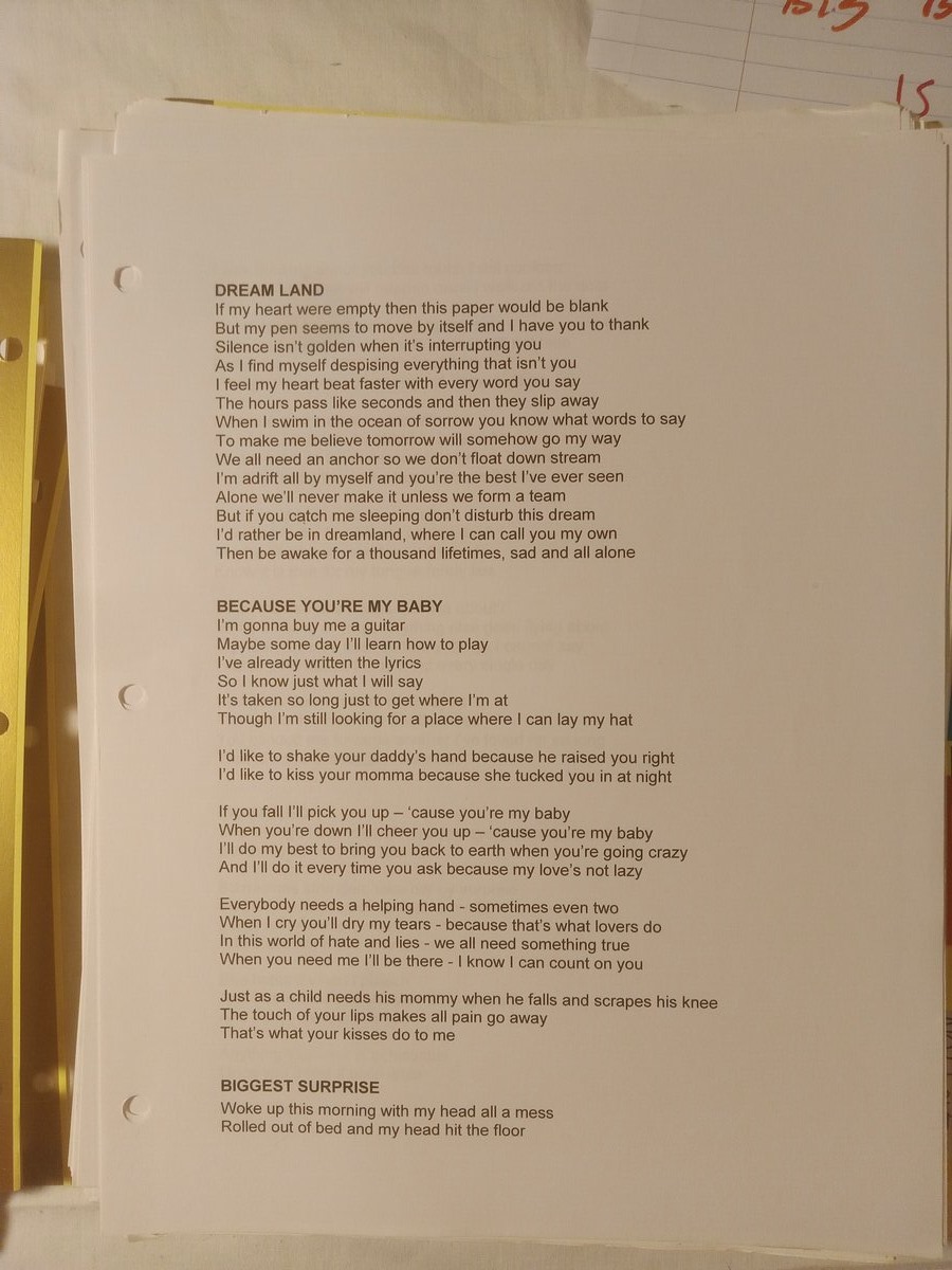 Item 1599 — Poems By Subject Big Binder With Quotes, Scary Truths Book (Brian Rainstorm), picture 6 of 21