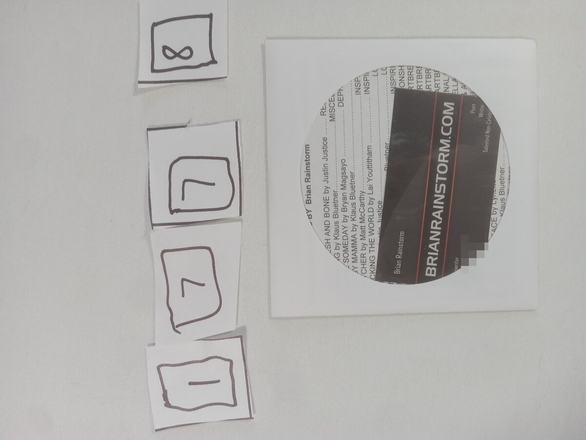 Item 1778 — BRIANRAINSTORM SLEEVE, picture 1 of 1