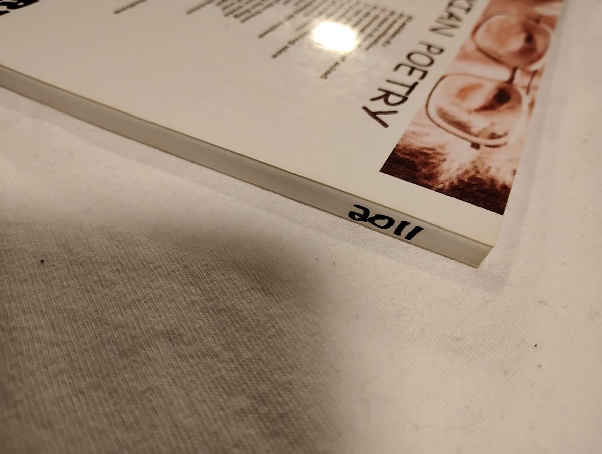 Item 1126 — CHOMSKIAN POETRY / SPOKEN WORD POETRY (WHITE BOOKLET, PUBLISHED JULY 4TH 2011), picture 6 of 6