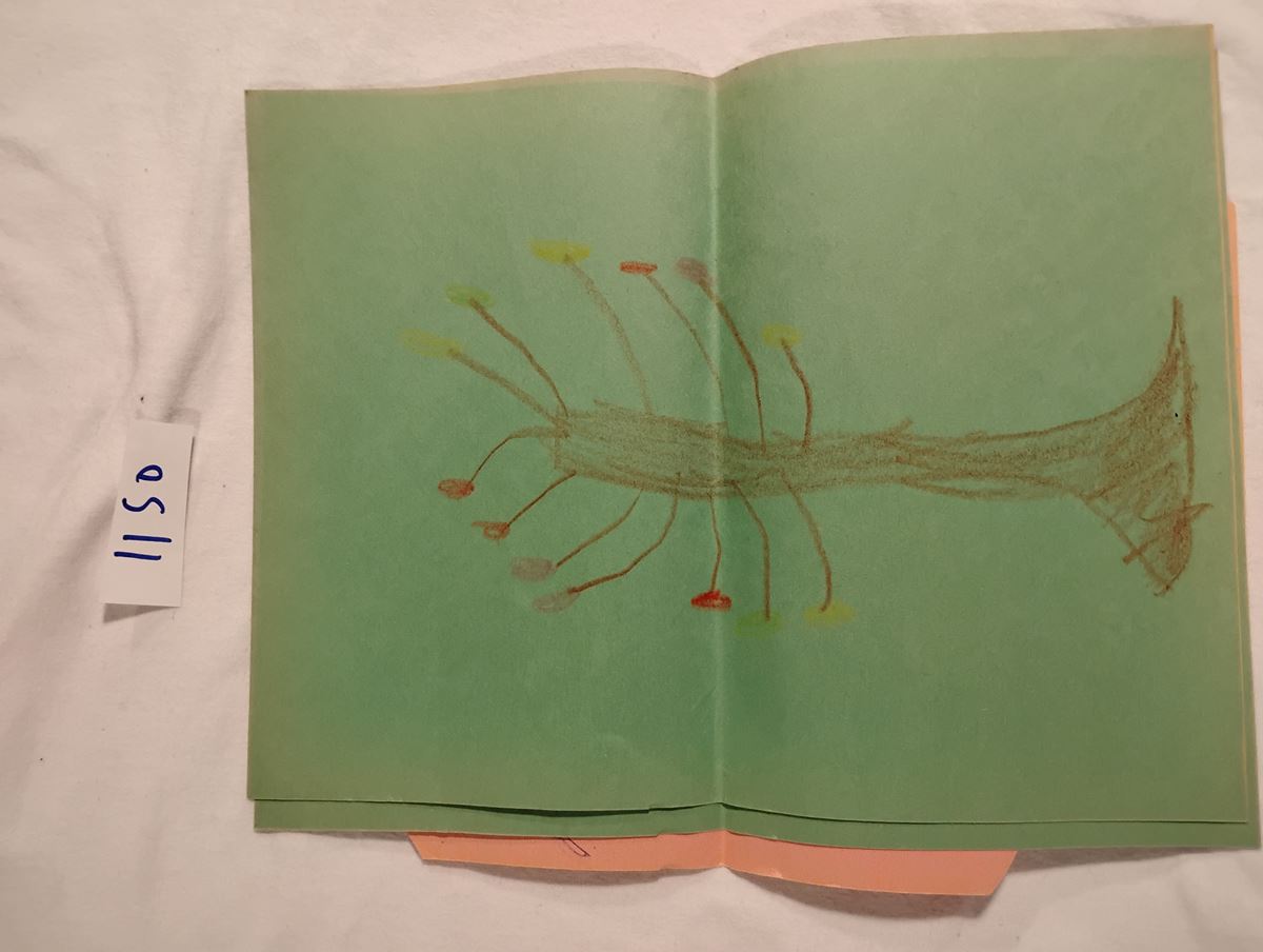 Item 1150 — FOUR CRAYON DRAWINGS: PUMPKIN FACE, RAINBOW, TREE, BIRD, picture 4 of 5