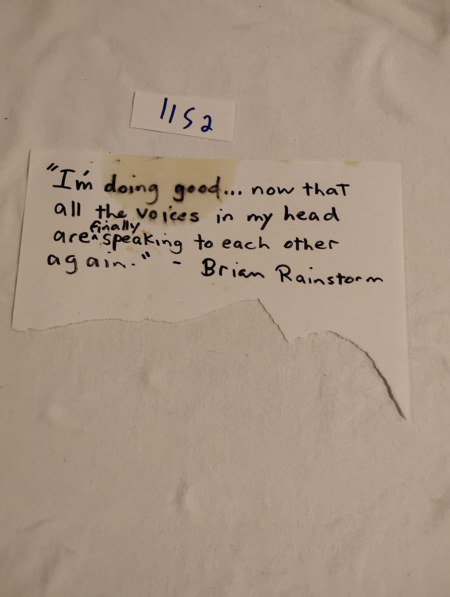 Item 1152 — ALL THE VOICES IN MY HEAD ARE FINALLY SPEAKING TO EACH OTHER AGAIN - BRIAN RAINSTORM QUOTE CARD, picture 1 of 1