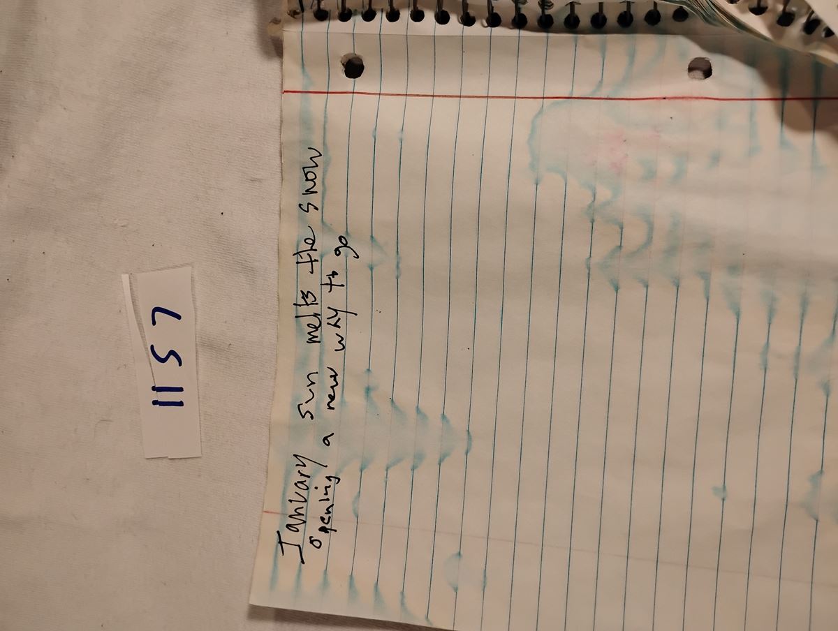 Item 1157 — KARL MALONE MODE: NO RINGS! - SPIRAL NOTEBOOK PAGES, picture 2 of 3