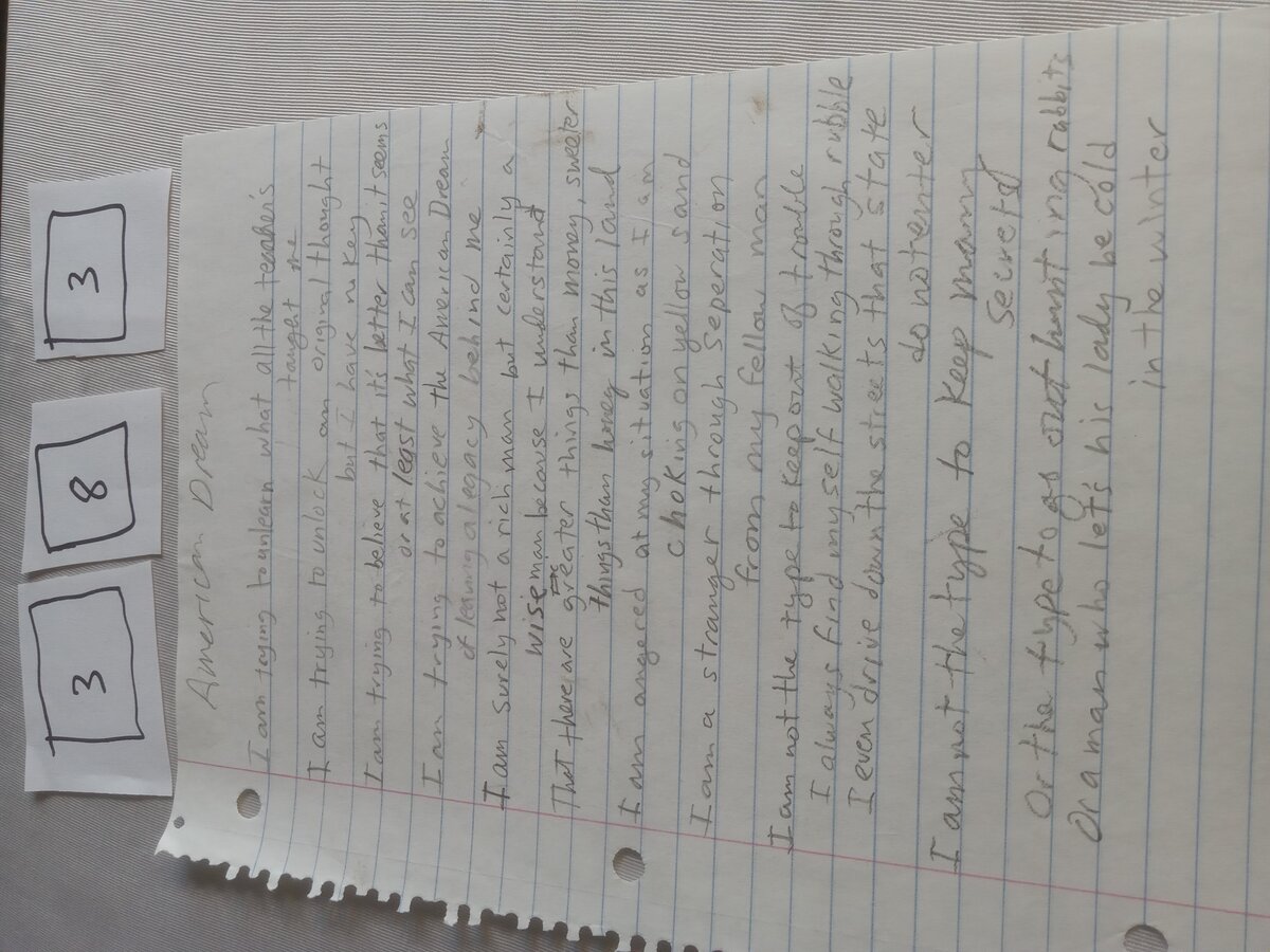 Item 383 — American Dream, picture 1 of 1