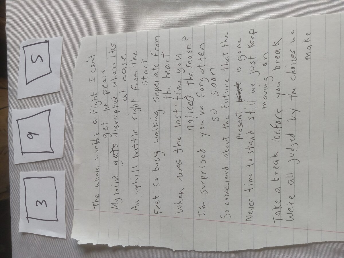 Item 395 — The whole worlds a fight, picture 2 of 2