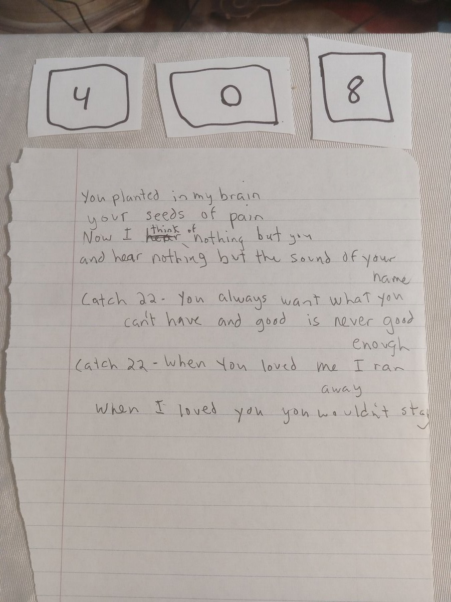 Item 408 — You Planted in My Brain, picture 1 of 1
