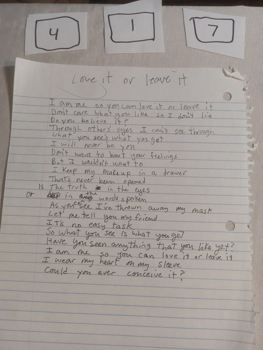 Item 417 — Love it or leave it, picture 1 of 1