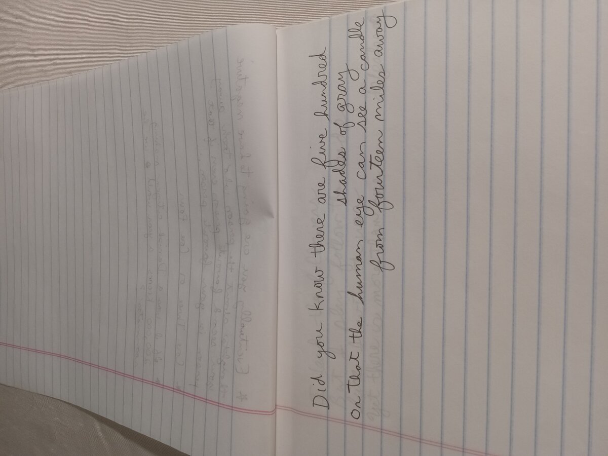 Item 533 — Here's something those with two jobs, picture 7 of 12