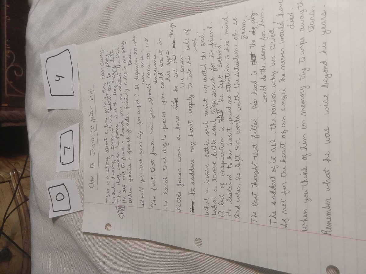 Item 74 — Ode to Jason, picture 1 of 1