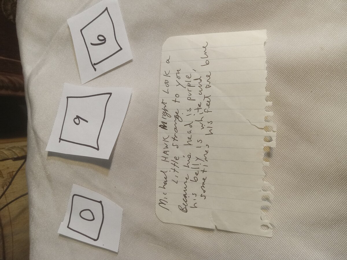 Item 96 — Michael Hawk might look a little strange to you, picture 1 of 1