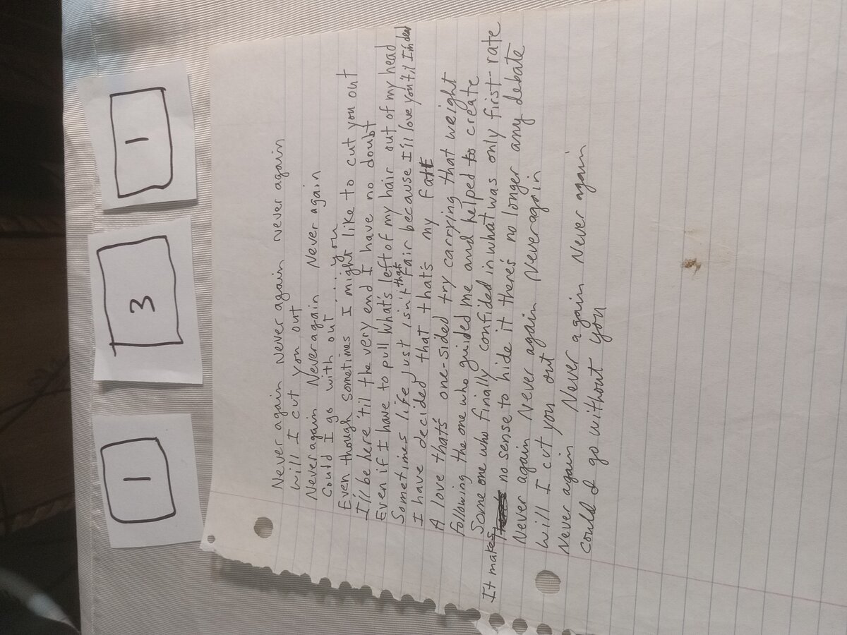 Item 131 — Never again, picture 1 of 2