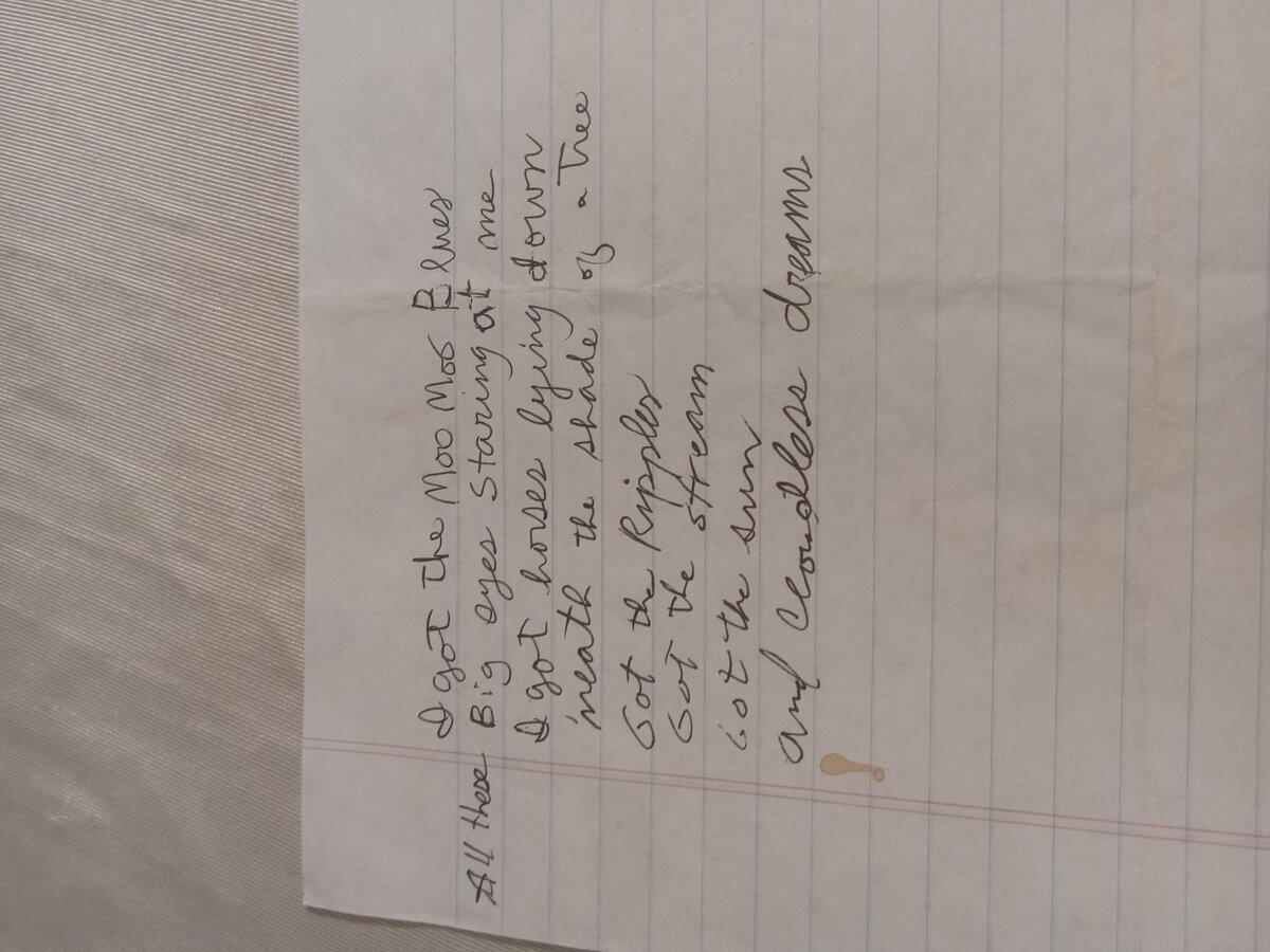 Item 854 — I got the Moo Moo Blues, picture 2 of 2