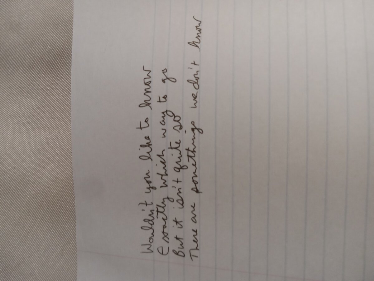 Item 1013 — I suppose i've found out why, picture 4 of 4