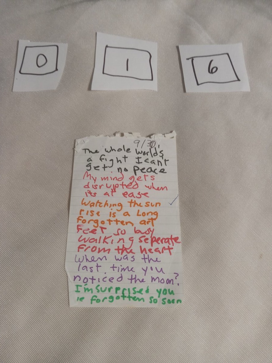 Item 16 — THE WHOLE WORLD'S A FIGHT, picture 1 of 1