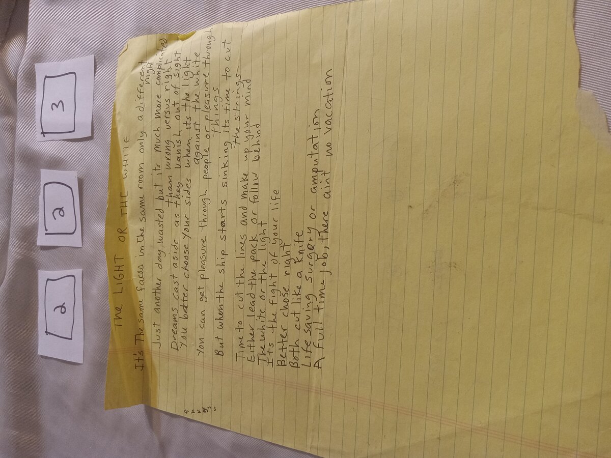 Item 223 — THE LIGHT OR THE WHITE, picture 1 of 1