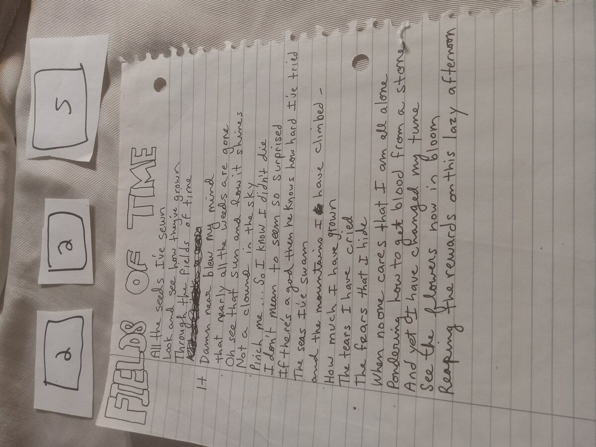 Item 225 — FIELDS OF TIME, picture 1 of 1