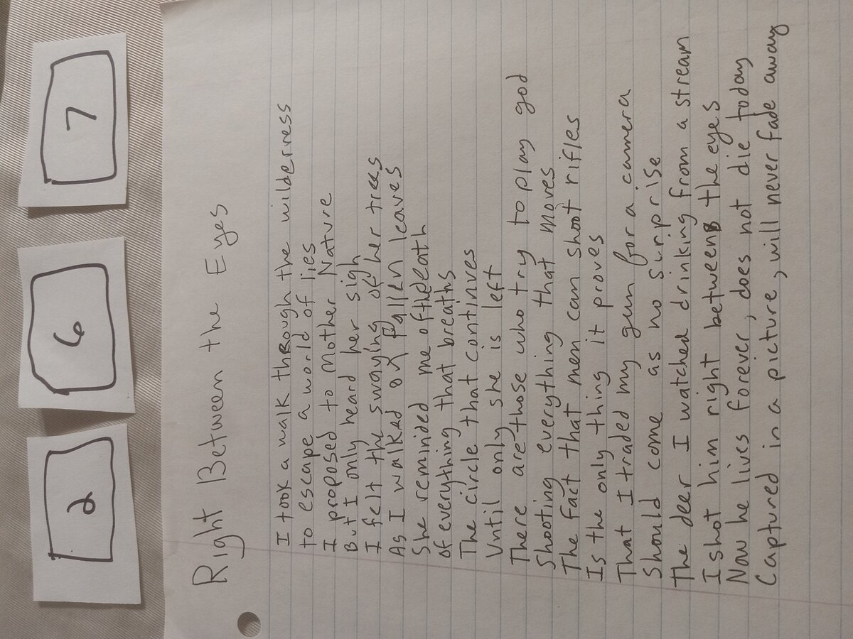 Item 267 — Right Between the Eyes, picture 1 of 1