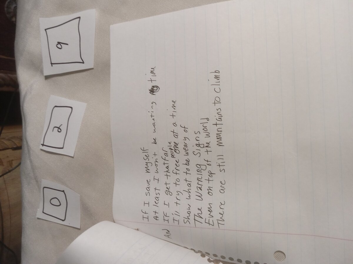 Item 29 — CHECKMATE, picture 2 of 2