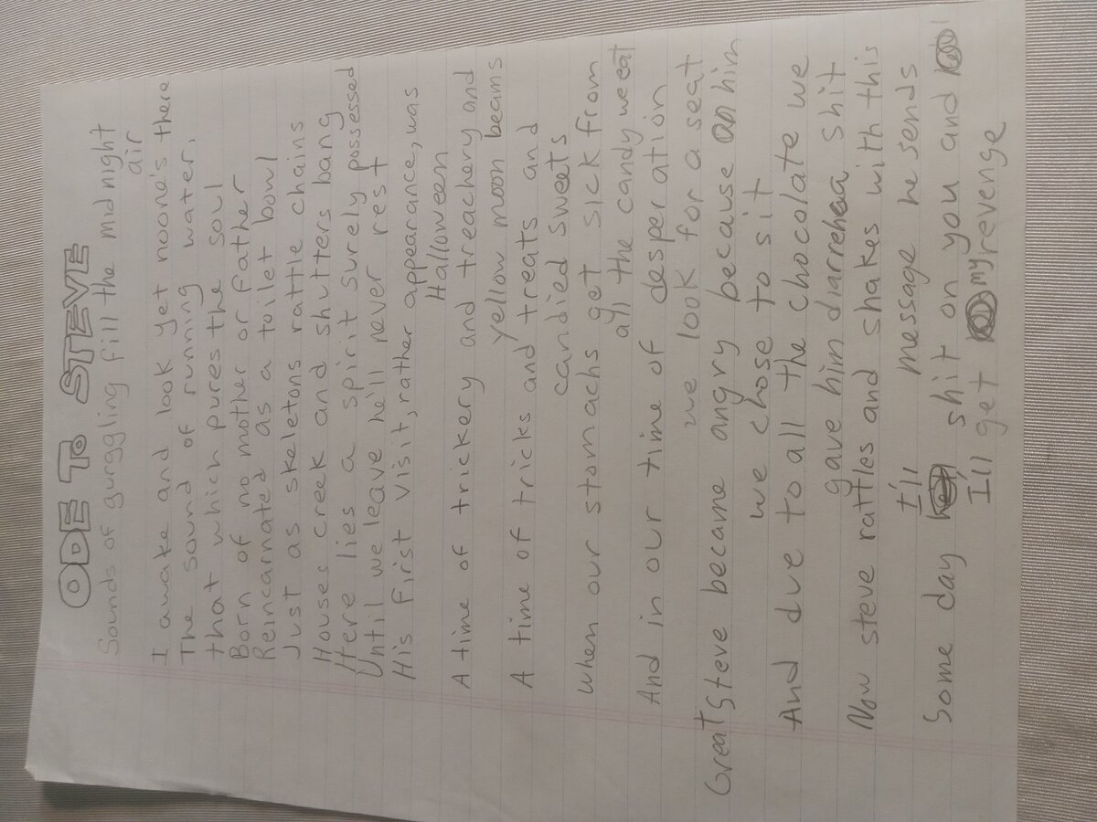 Item 555 — ODE TO STEVE, picture 2 of 2