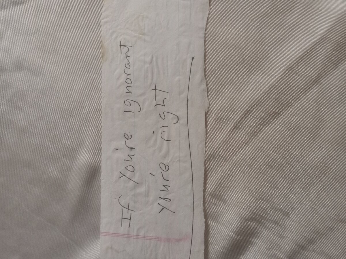 Item 838 — If you're ignorant you're right, picture 2 of 2