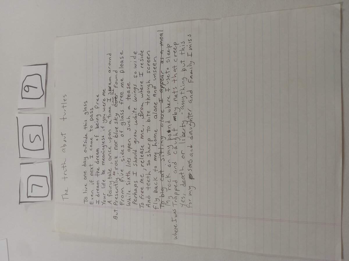 Item 759 — The truth about turtles, picture 1 of 2
