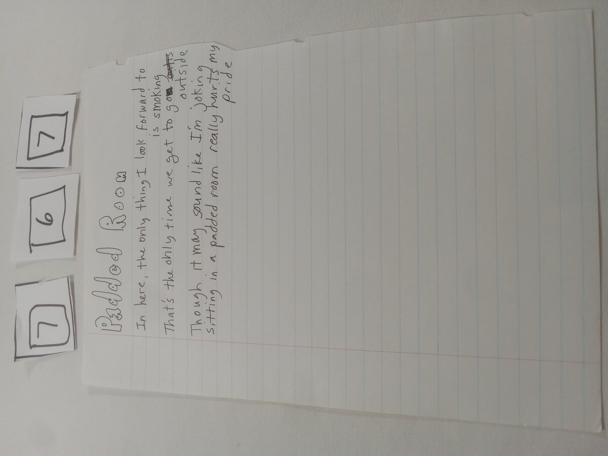 Item 767 — Padded Room, picture 1 of 2