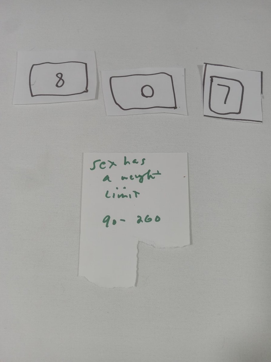 Item 807 — Sex has a weight limit 90-260, picture 1 of 1