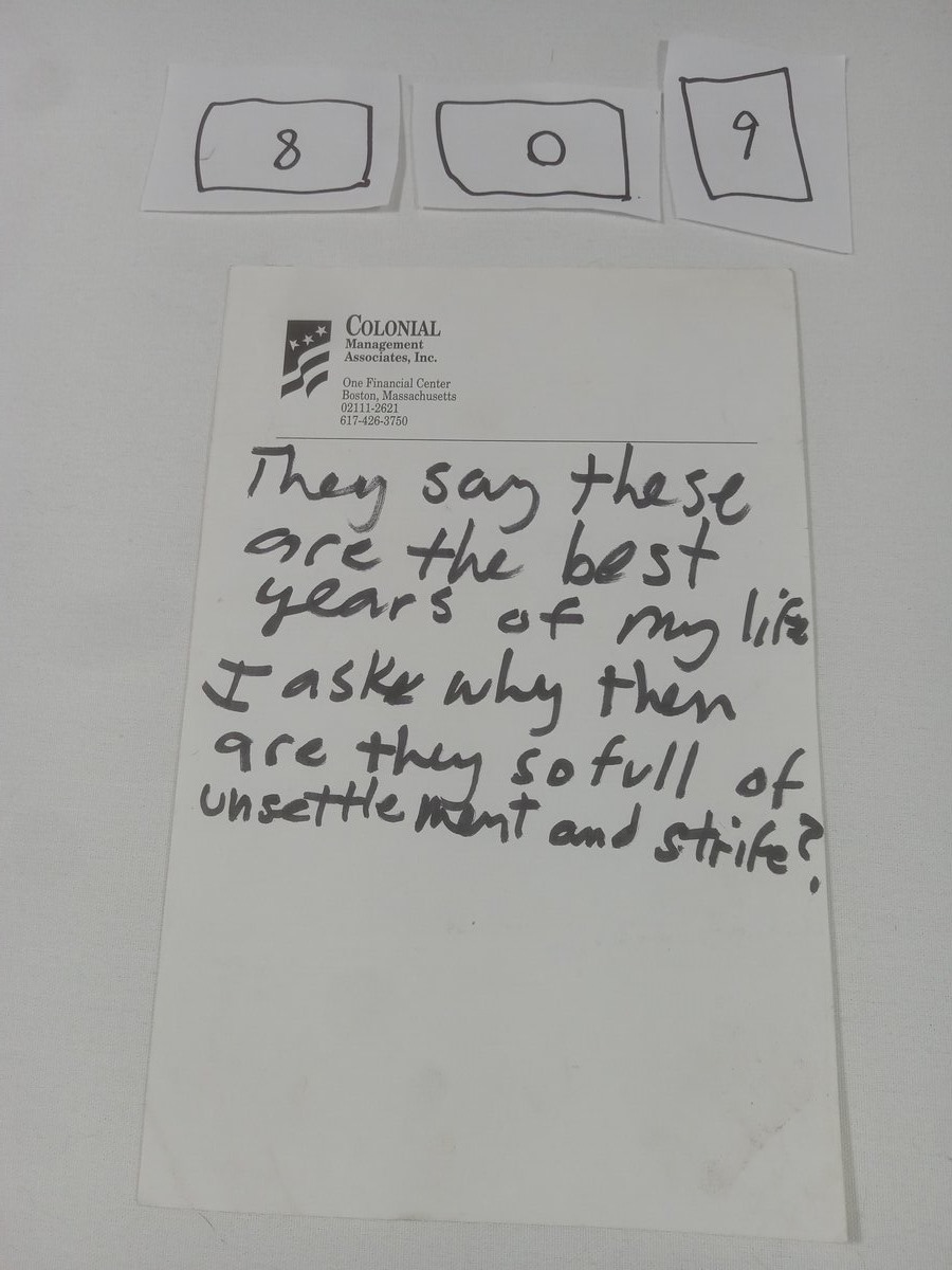 Item 809 — They say these are the best years of my life, picture 1 of 2