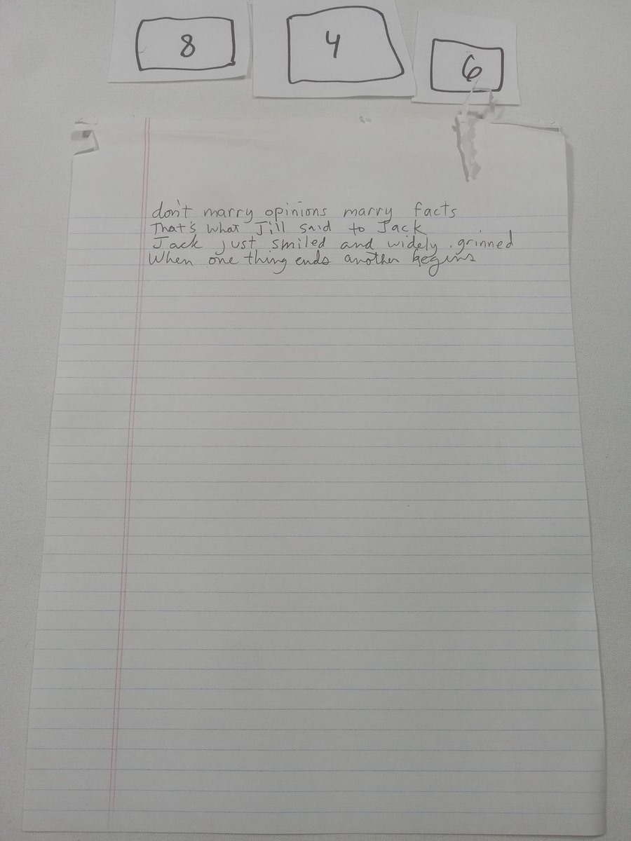 Item 846 — don't marry opinions marry facts, picture 1 of 1