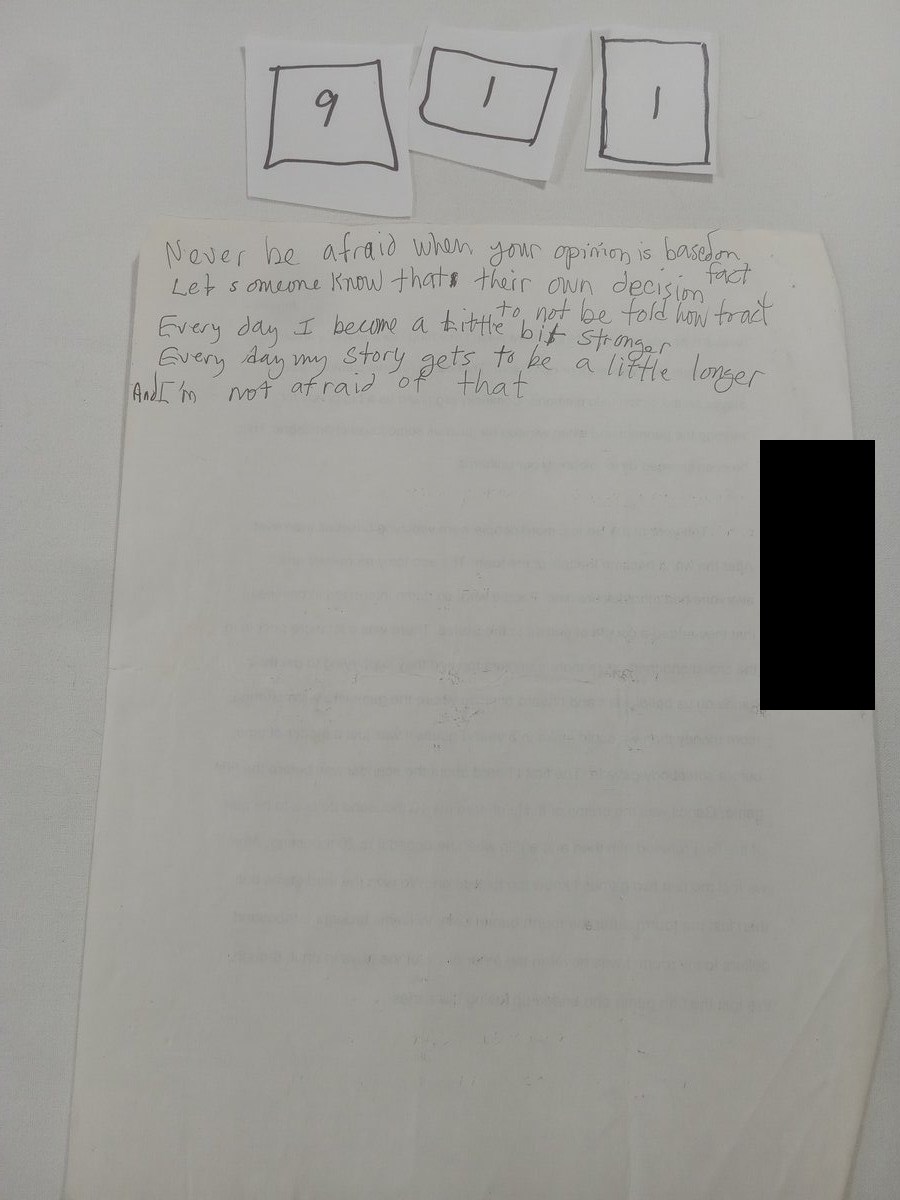 Item 911 — Never be afraid when your opinion is based on fact, picture 1 of 3