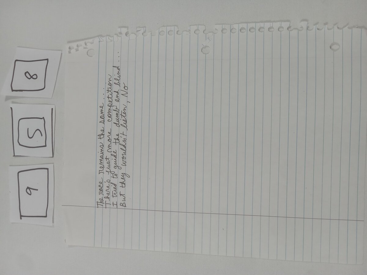 Item 958 — The race remains the same., picture 1 of 1