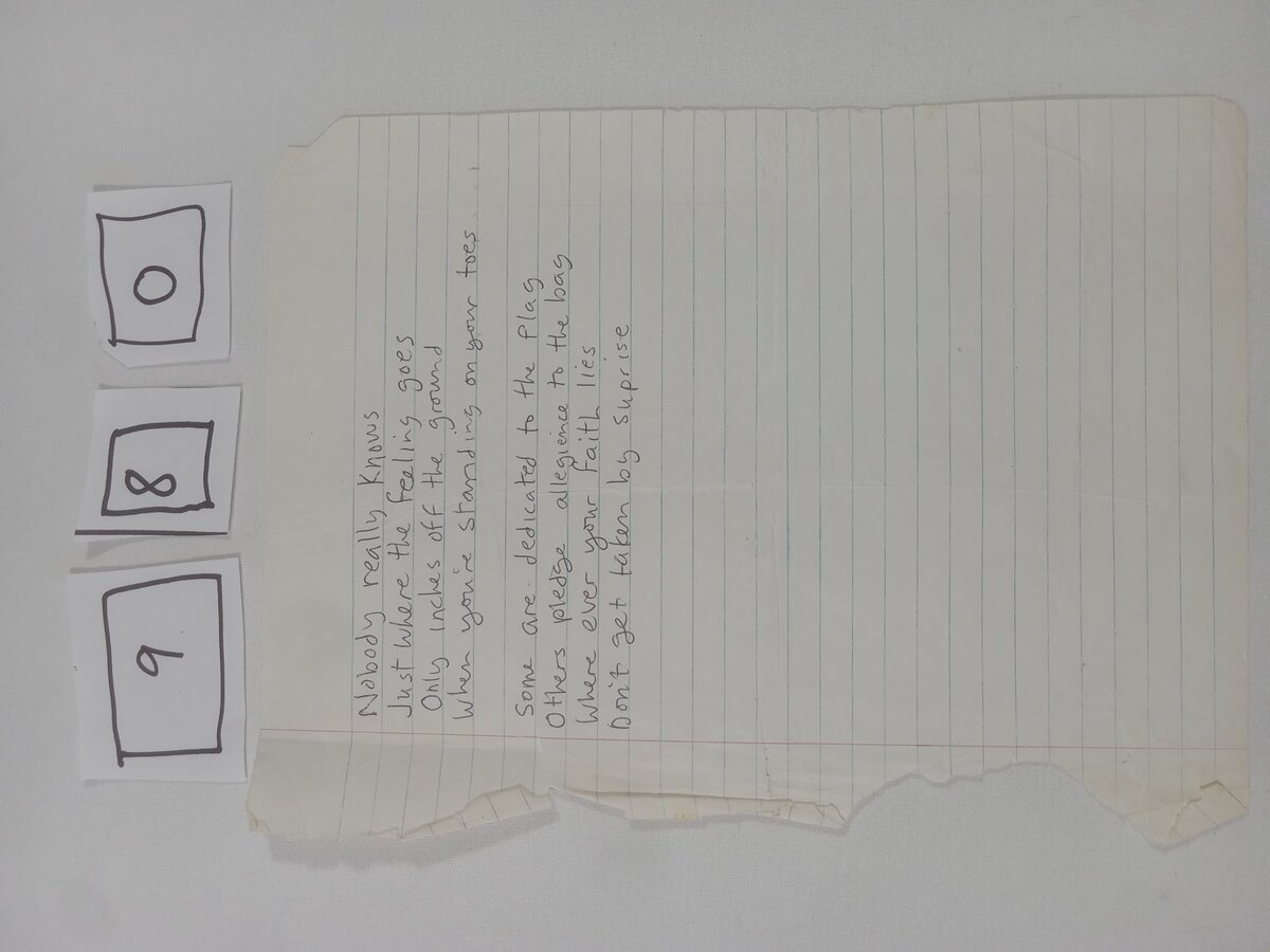 Item 980 — Nobody really knows, picture 1 of 1