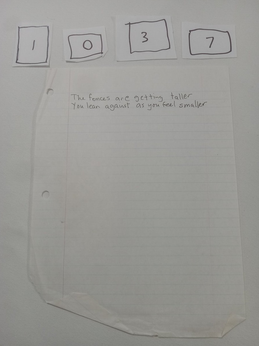 Item 1037 — The fences are getting taller, picture 1 of 4