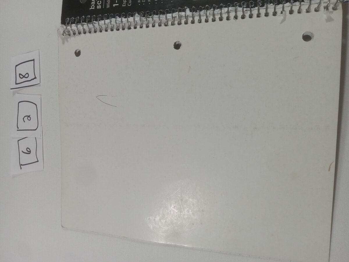 Item 628 — Cold Slabbed And Toe Tagged, picture 2 of 5