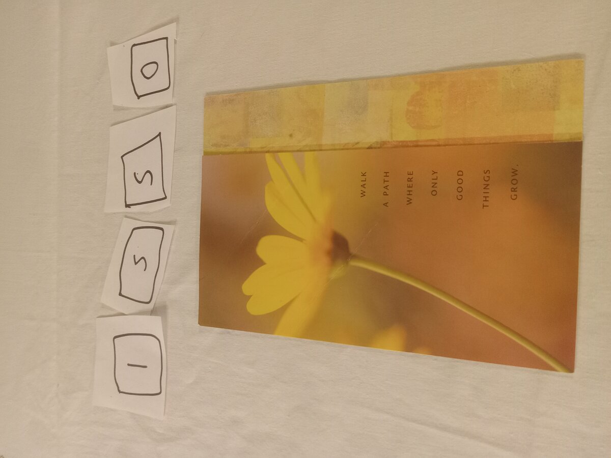 Item 1550 — GRADUATION, picture 2 of 4