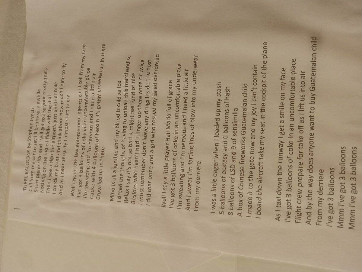 Item 1560 — Stephen Lynch Lyrics Binder, picture 4 of 12