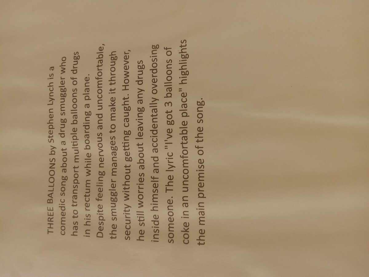 Item 1560 — Stephen Lynch Lyrics Binder, picture 5 of 12