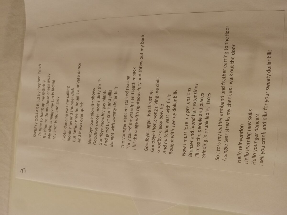 Item 1560 — Stephen Lynch Lyrics Binder, picture 6 of 12