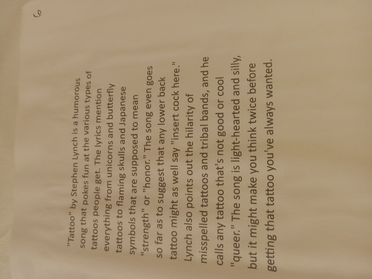 Item 1560 — Stephen Lynch Lyrics Binder, picture 9 of 12