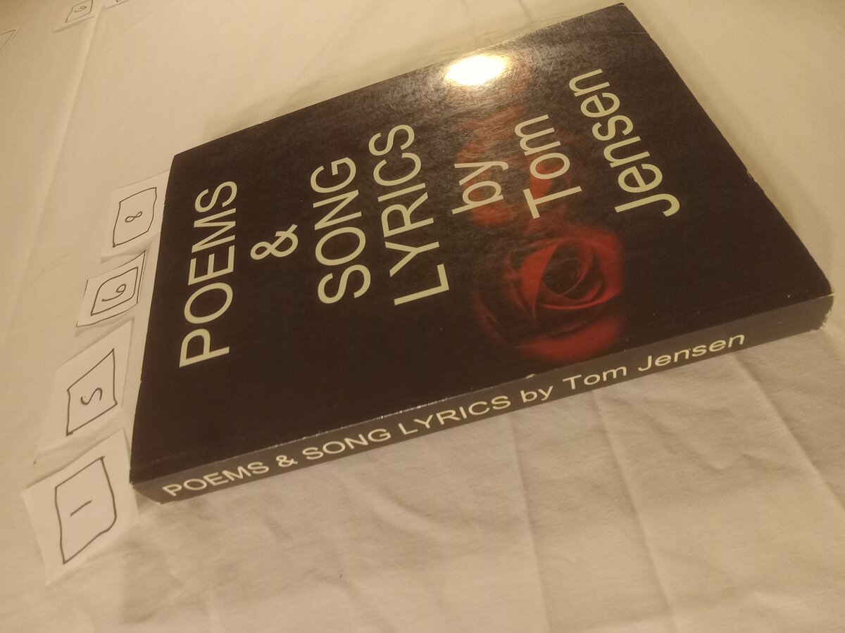 Item 1568 — Poems & Song Lyrics (Red Roses) And My Big Black Book Of Poems & Song Lyrics, picture 2 of 12