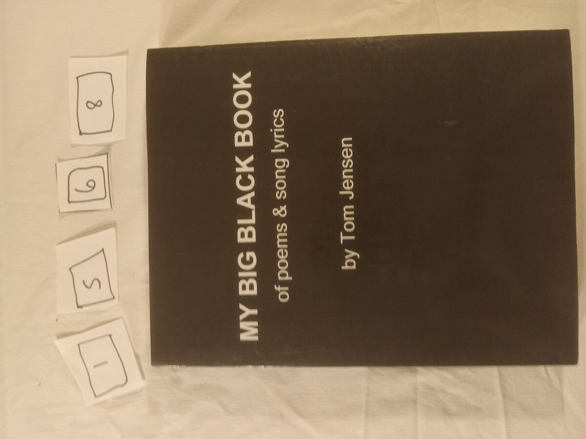 Item 1568 — Poems & Song Lyrics (Red Roses) And My Big Black Book Of Poems & Song Lyrics, picture 5 of 12