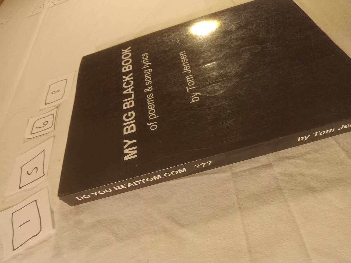Item 1568 — Poems & Song Lyrics (Red Roses) And My Big Black Book Of Poems & Song Lyrics, picture 6 of 12