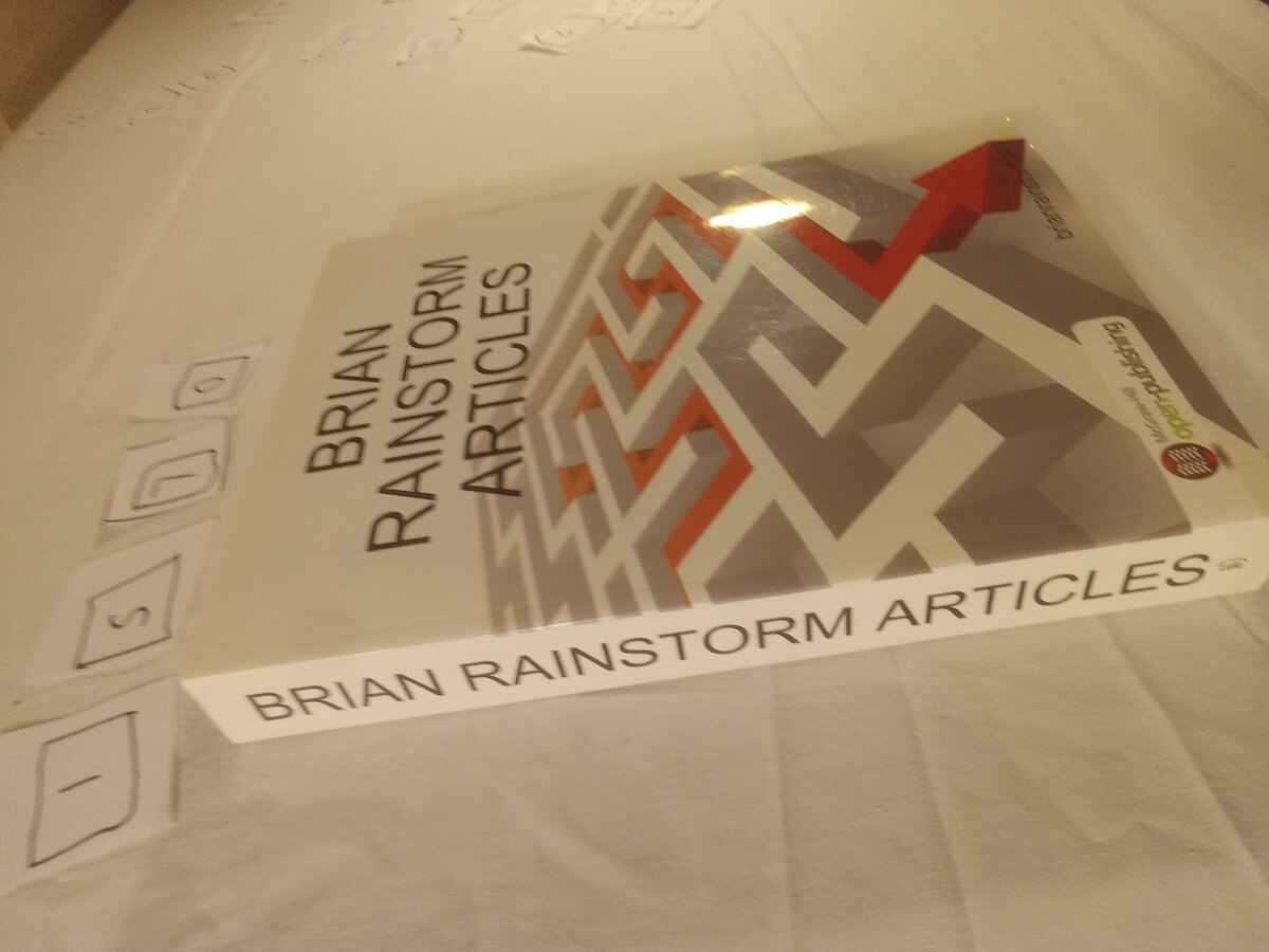 Item 1570 — Articles By Brian Rainstorm (Book) With Songs For A Lady First Demo CD-R, picture 13 of 14