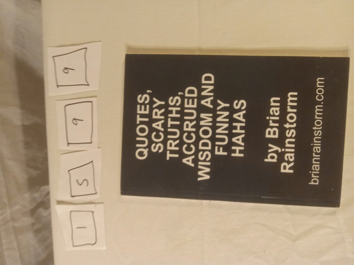 Item 1599 — Poems By Subject Big Binder With Quotes, Scary Truths Book (Brian Rainstorm), picture 1 of 21