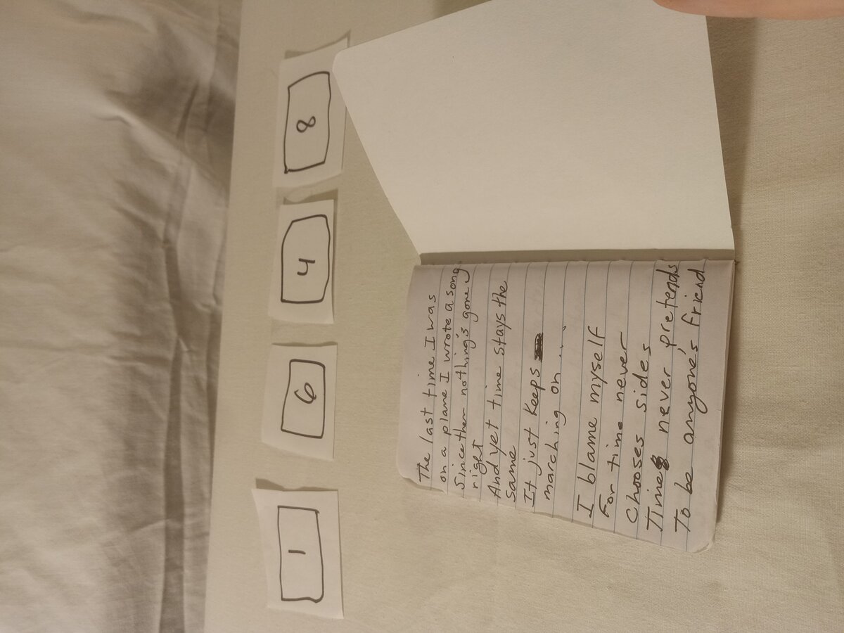 Item 1648 — The last time I was on a plane I wrote a song, picture 1 of 4