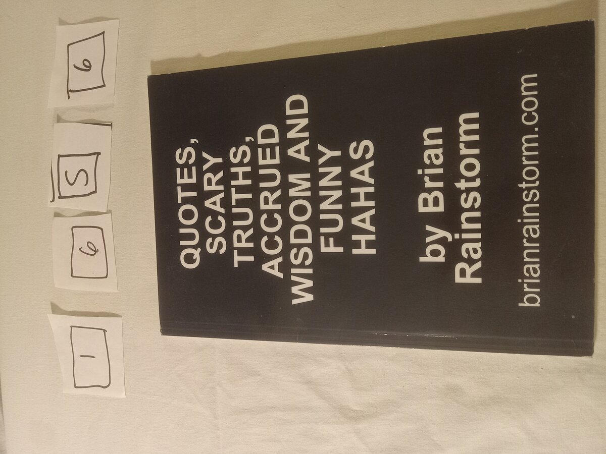 Item 1656 — QUOTES, SCARY TRUTHS, ACCRUED WISDOM AND FUNNY HAHAS, picture 1 of 1
