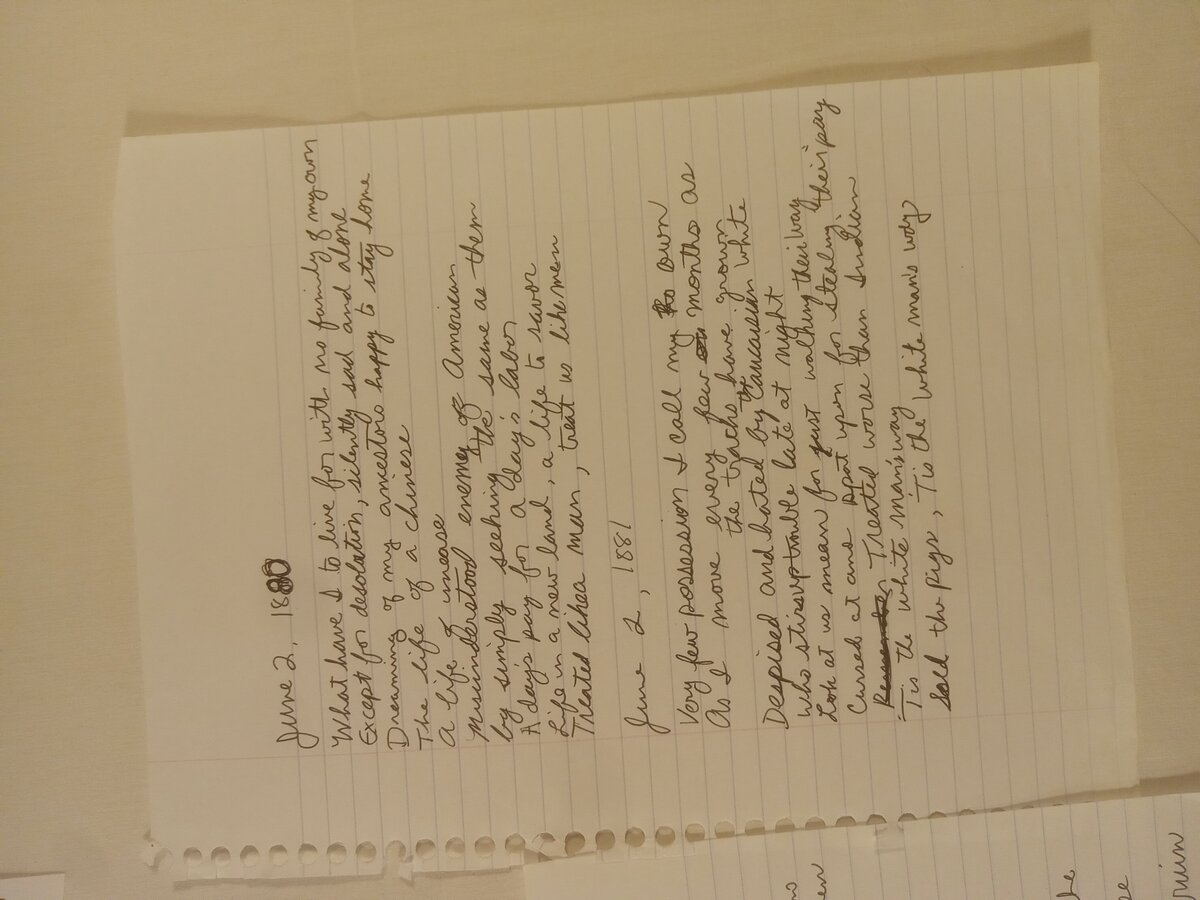 Item 1734 — I am the poet and traveller of 1883, picture 4 of 4