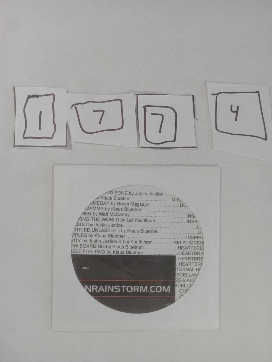 Item 1774 — BRIANRAINSTORM SLEEVE, picture 1 of 2