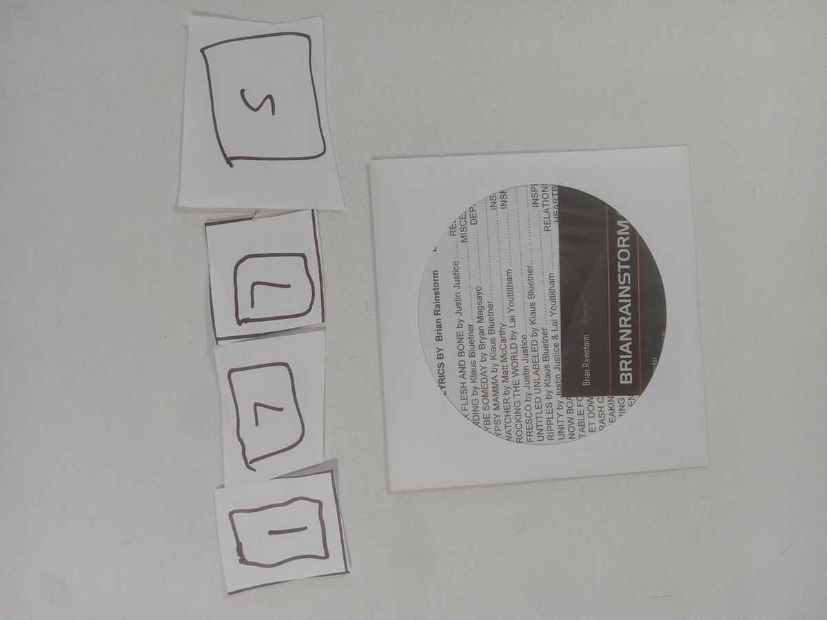 Item 1775 — BRIANRAINSTORM SLEEVE, picture 1 of 1