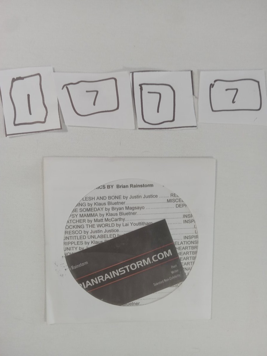 Item 1777 — BRIANRAINSTORM SLEEVE, picture 1 of 1